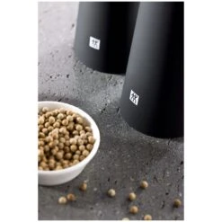 Zwilling Salzmühle 19 Cm, Kunststoff, Schwarz 8 Zwilling Salzmühle 19 Cm, Kunststoff, Schwarz -Zwilling 000021025 1