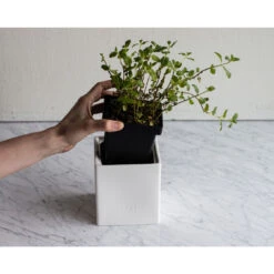 Zwilling Vorratsdose 850 Ml, Keramik 7 Zwilling Vorratsdose 850 Ml, Keramik -Zwilling 35101 502 zwilling organizers 4