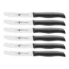 Zwilling Frühstücksmesserset 6-tlg 1 Zwilling Frühstücksmesserset 6-tlg -Zwilling 38725 900
