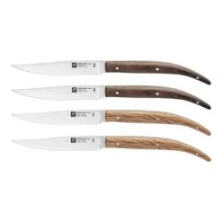 Zwilling Steakmesserset 4-tlg