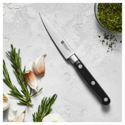 Zwilling Spick & Garniermesser 10 Cm 9 Zwilling Spick & Garniermesser 10 Cm -Zwilling 750033565